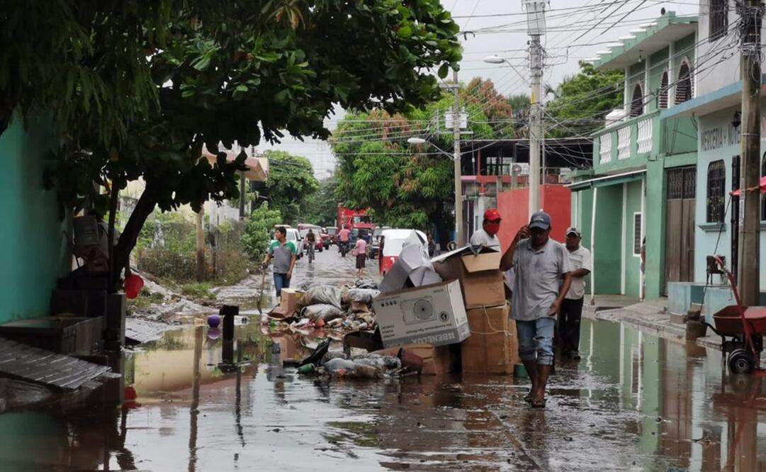 Fotos: Roselia Chaca