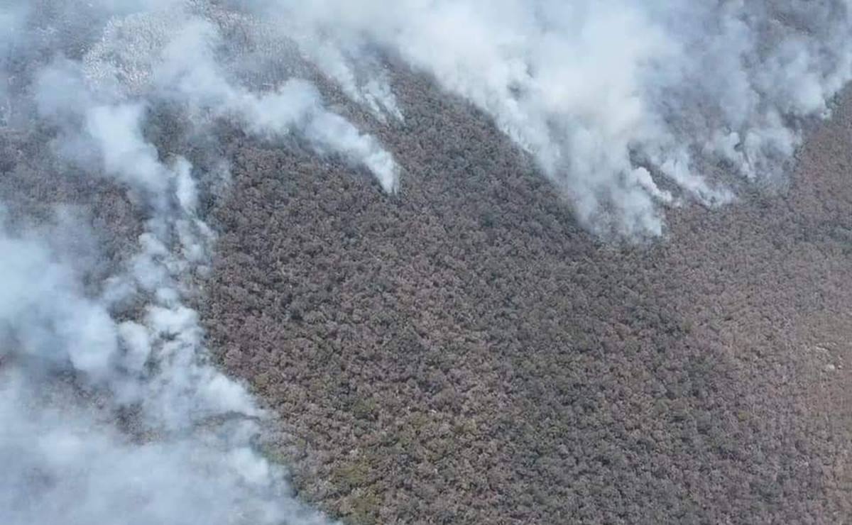 Incendio sin control en Tepelmeme alcanza a la Reserva de Biosfera Tehuacán-Cuicatlán: piden ayuda en Oaxaca