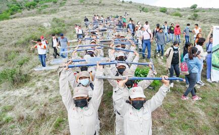 Siembran 5 mil plantas en Atzompa en el Día de la Riqueza Natural de Oaxaca