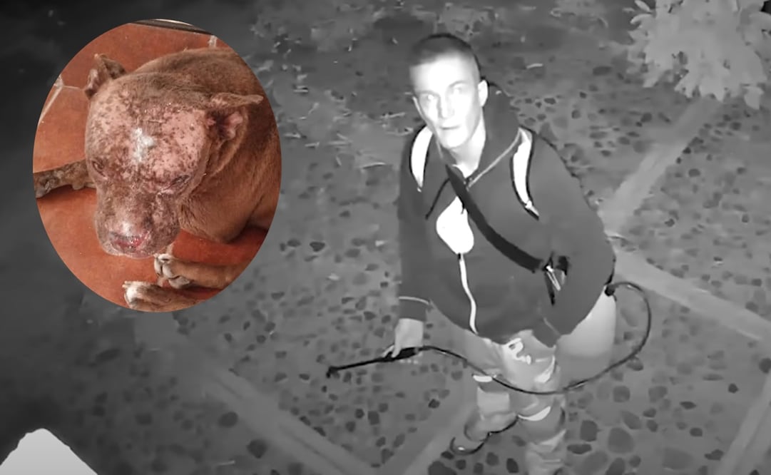 El sujeto acusado de atacar con ácido a los perritos, en Oaxaca, es presuntamente de origen francés. Foto: Captura de video