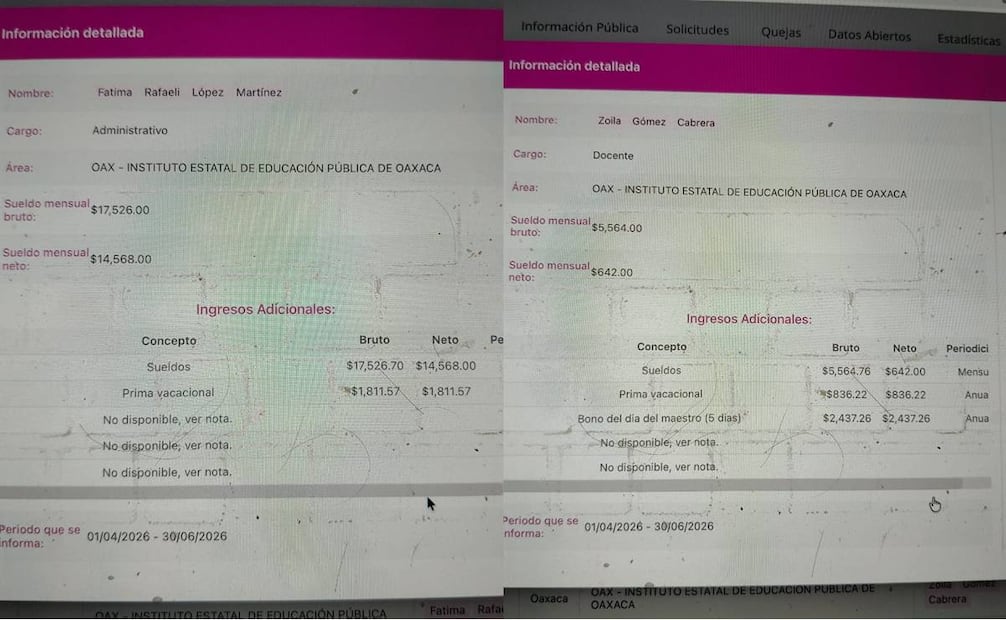 Foto: Captura de pantalla Plataforma Nacional de Transparencia