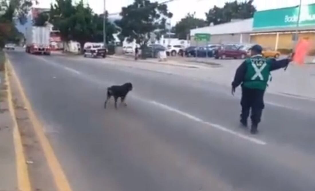 Foto: Captura de video