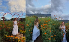 Camila Sodi disfruta de campos de cempasúchil en Oaxaca; aquí una guía para que los conozcas