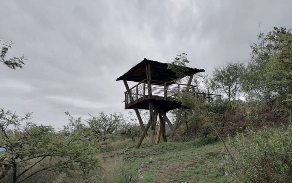 Reserva ecológica La Mesita en San Pablo Etla. Foto: sucedioenoaxaca.com