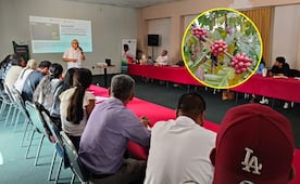 Mujeres cafetaleras de Oaxaca enfrentan daños, aislamiento y sobrecarga en sus territorios