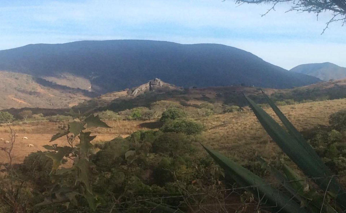 Hay oferta económica presidencial para que Sola de Vega y San Vicente Coatlán mantengan la paz en Oaxaca: INPI. Foto: Archivo EL UNIVERSAL