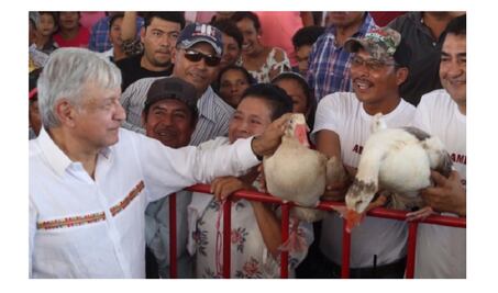 Regalan gansos al presidente López Obrador en Campeche