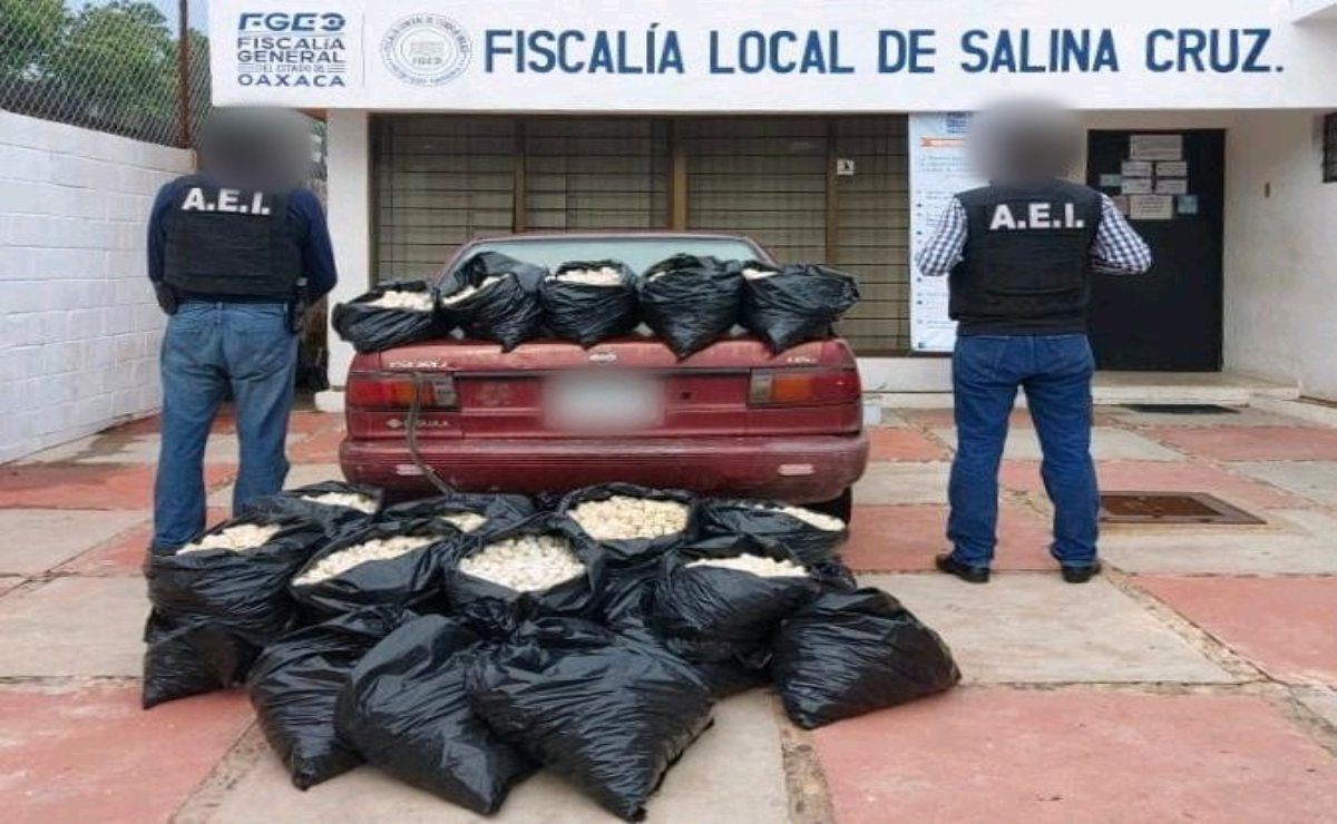 En menos de dos semanas, aseguran otros más de 20 mil huevos de tortugas en el Istmo