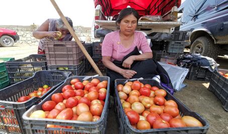 Exige FPR proyectos productivos y abasto alimentario para afrontar crisis económica desatada por la pandemia