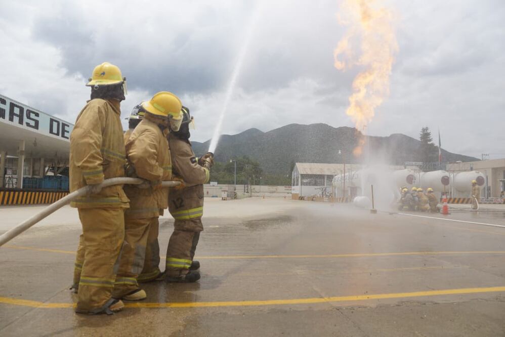 Foto: Edwin Hernández