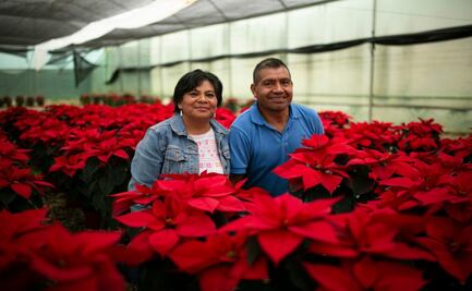 Campamento de las Flores: En la Sierra Norte de Oaxaca, la Nochebuena nace gracias al agua de lluvia