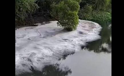 Diputado de Oaxaca pide investigar por contaminación a fabricante de cerveza Corona en Tuxtepec