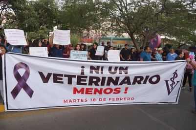 Veterinarios protestan en la ciudad de Oaxaca para exigir justicia por Héctor Hernández