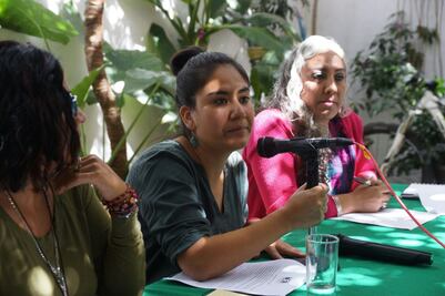 Pide Amnistía Internacional garantizar seguridad de ONG