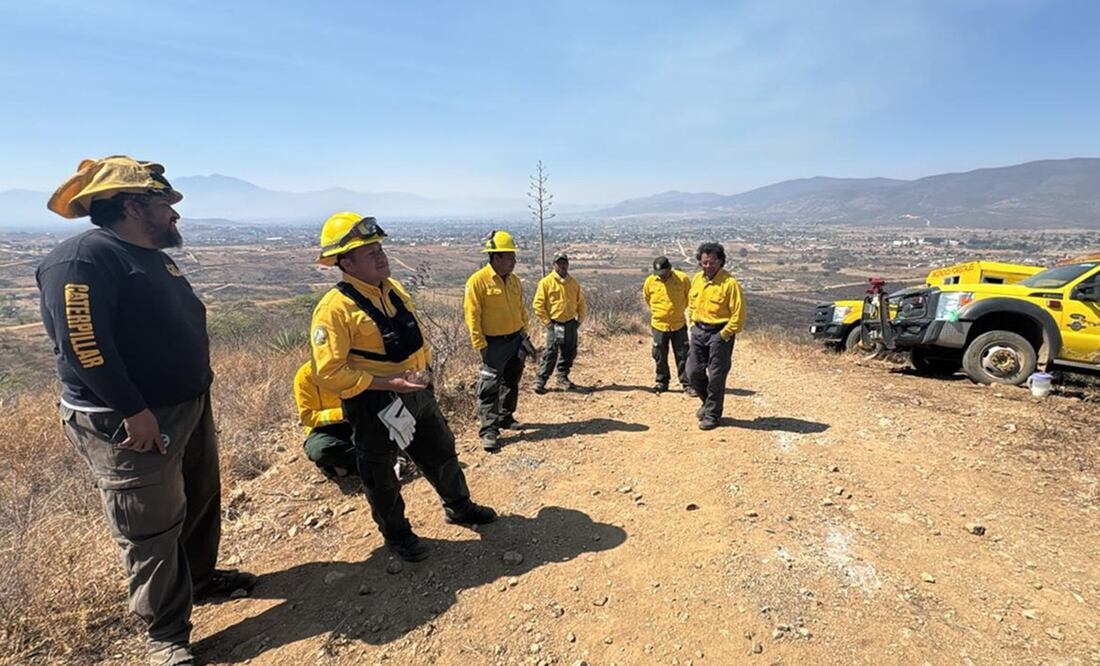 Brigadas estatales y federales se sumaron al combate del incendio forestal. Fotos: Especiales