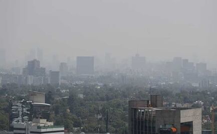 Día de la Tierra: ¿Qué productos de uso cotidiano contaminan el medio ambiente?