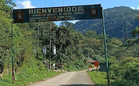 Ubisort alerta sobre incremento de la violencia e inseguridad en la Cañada de Oaxaca