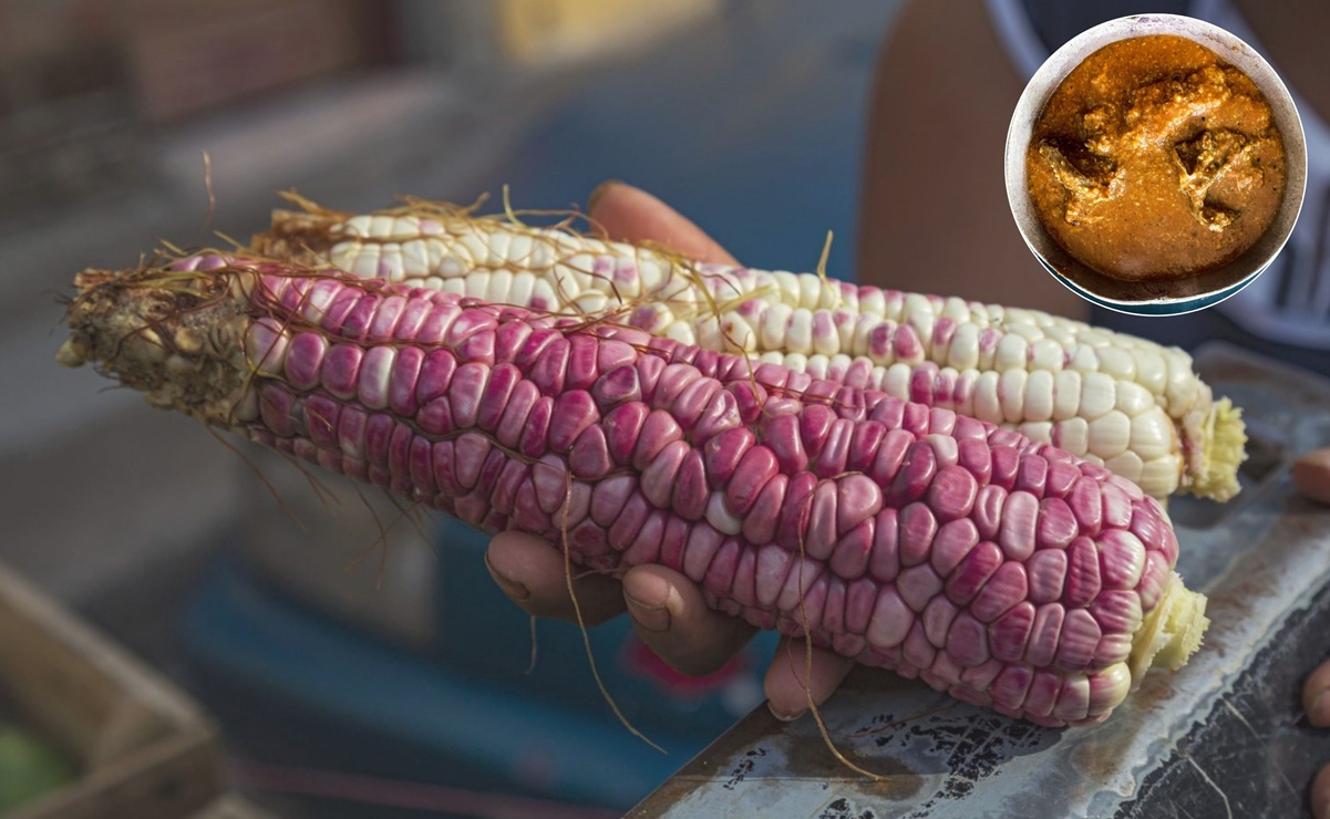 La segueza es un guiso espeso típico de los Valles Centrales de Oaxaca, preparado con maíz, chiles y carne. Conoce su origen y variantes. Foto: Especial.