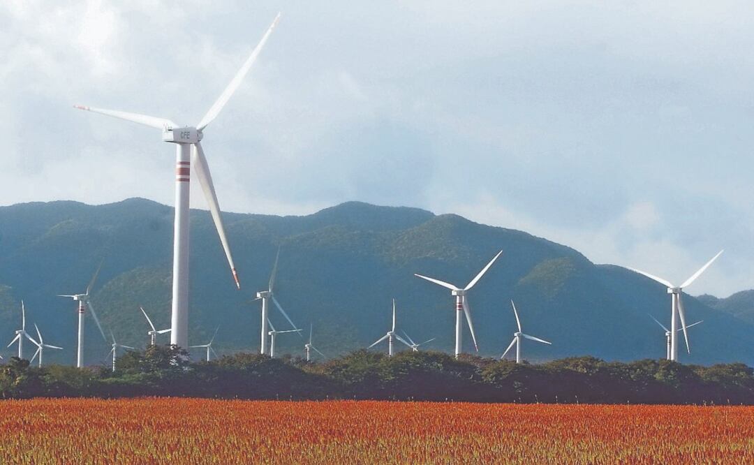 Foto: Archivo El Universal