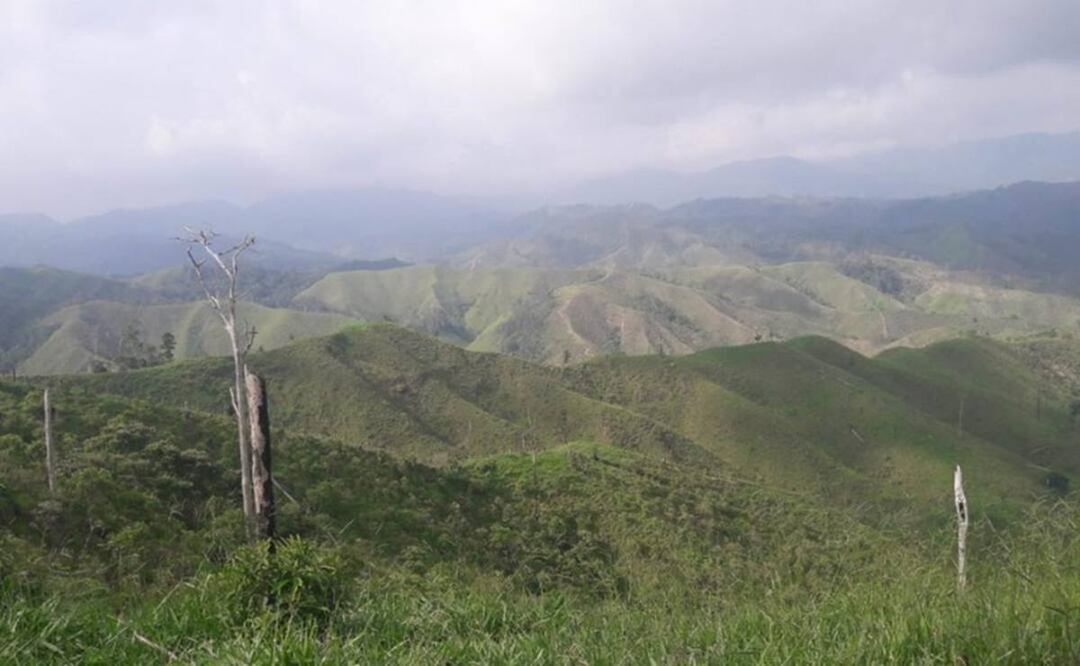 Foto: Archivo EL UNIVERSAL