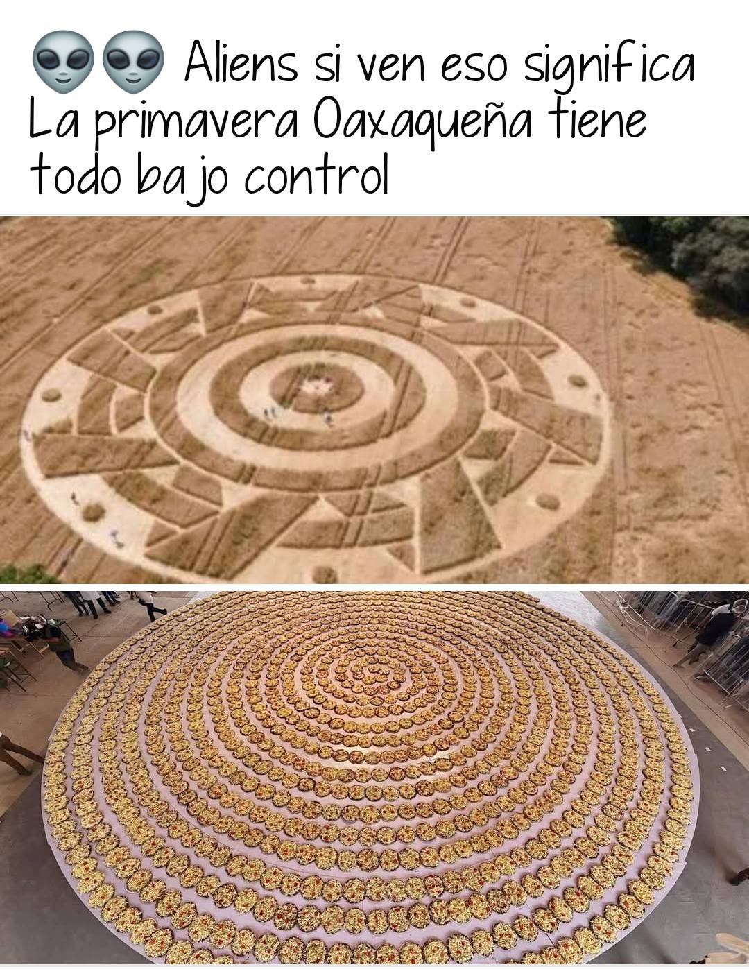 Memes sobre aliens. Foto: Redes sociales