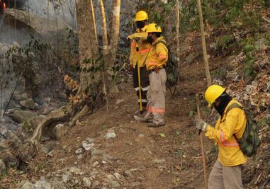 Controlan al 100% incendio forestal en Teojomulco, en la Sierra Sur de Oaxaca; hay 7 activos