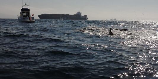 Tritón oaxaqueño cruza el Estrecho de Gibraltar y hace historia