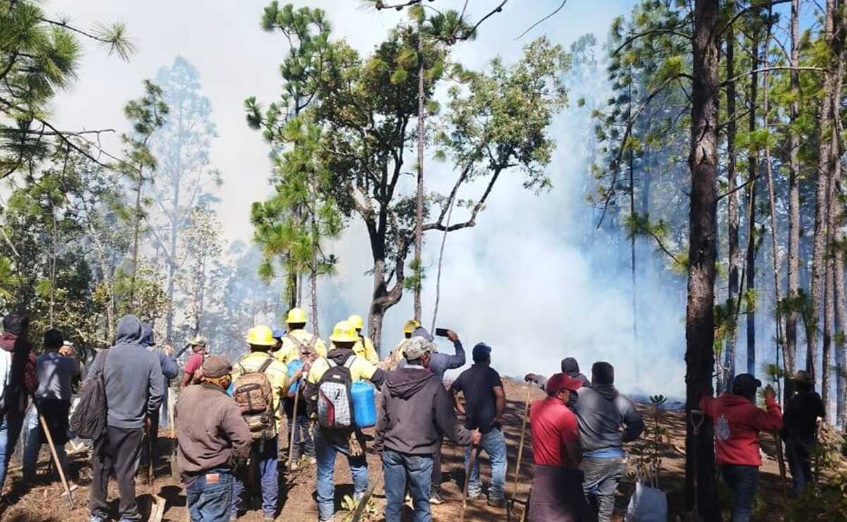 Al menos 50 incendios han devorado bosques de Oaxaca en 2024; alertan por zonas de conflicto. Fotos: Especiales
