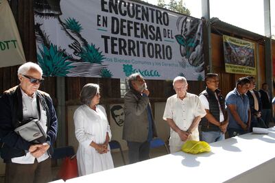 Se une Francisco Toledo a activistas en defensa del territorio