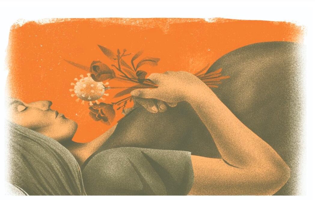 Ilustración: Ani Cortés. EL UNIVERSAL