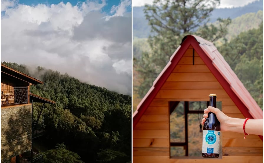 ¿Qué es la kombucha, la bebida artesanal que se fabrica en San Mateo Río Hondo?
