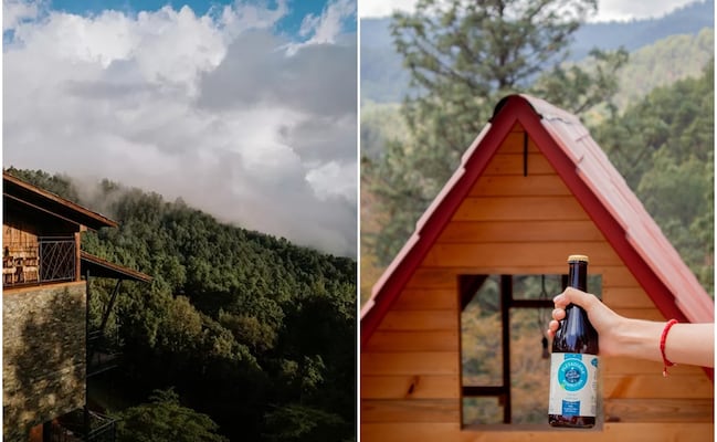 ¿Qué es la kombucha, la bebida artesanal que se fabrica en San Mateo Río Hondo?