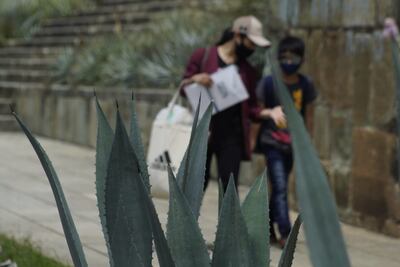 Confirma Salud de Oaxaca 791 nuevos casos de Covid-19 en últimas 24 horas; reportan 18 hospitales llenos