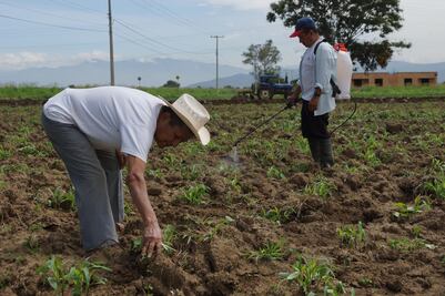 Sufre campo oaxaqueño recorte de 326.6 mdp