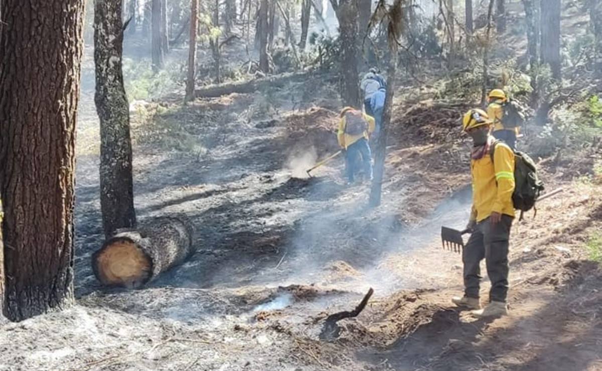 Controlado al 75% incendio forestal de San Andrés Huayápam, Oaxaca