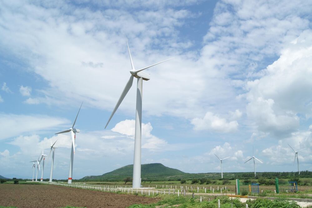 Foto: Edwin Hernández. EL UNIVERSAL