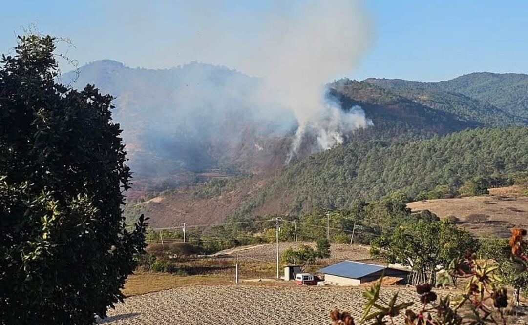 La COESFO reporta 10 incendios forestales activos en el estado de Oaxaca