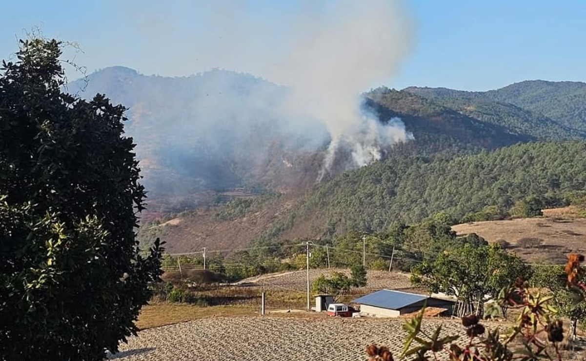 Comunidades de la Mixteca y Sierra Sur piden apoyo de brigadistas y víveres; hay 10 incendios activos en Oaxaca