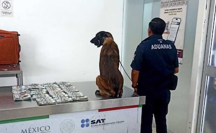 Detienen en el aeropuerto de Oaxaca a un hombre con más de 365 mil dólares en efectivo
