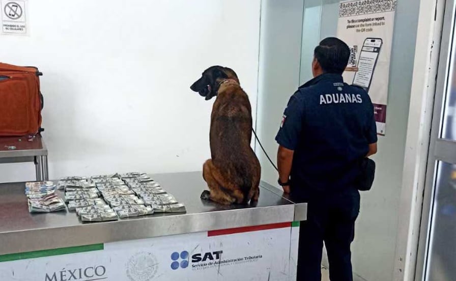 Detienen en el aeropuerto de Oaxaca a un hombre con más de 365 mil dólares en efectivo