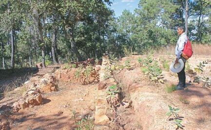 Retienen a cuatro personas en Santiago Mitlatongo, entre ellas una mujer embarazada