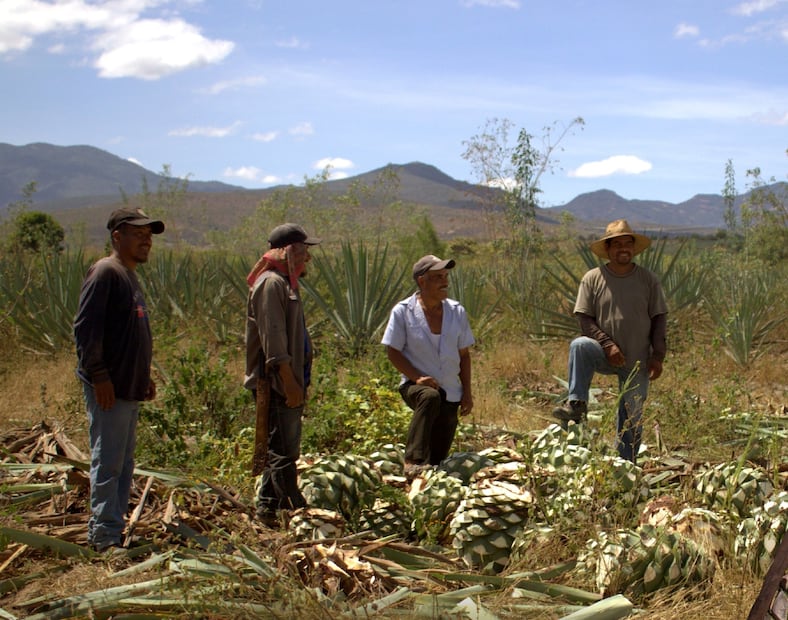 Pueblos mezcaleros en Oaxaca. Foto: Secretaría de Turismo del Estado de Oaxaca