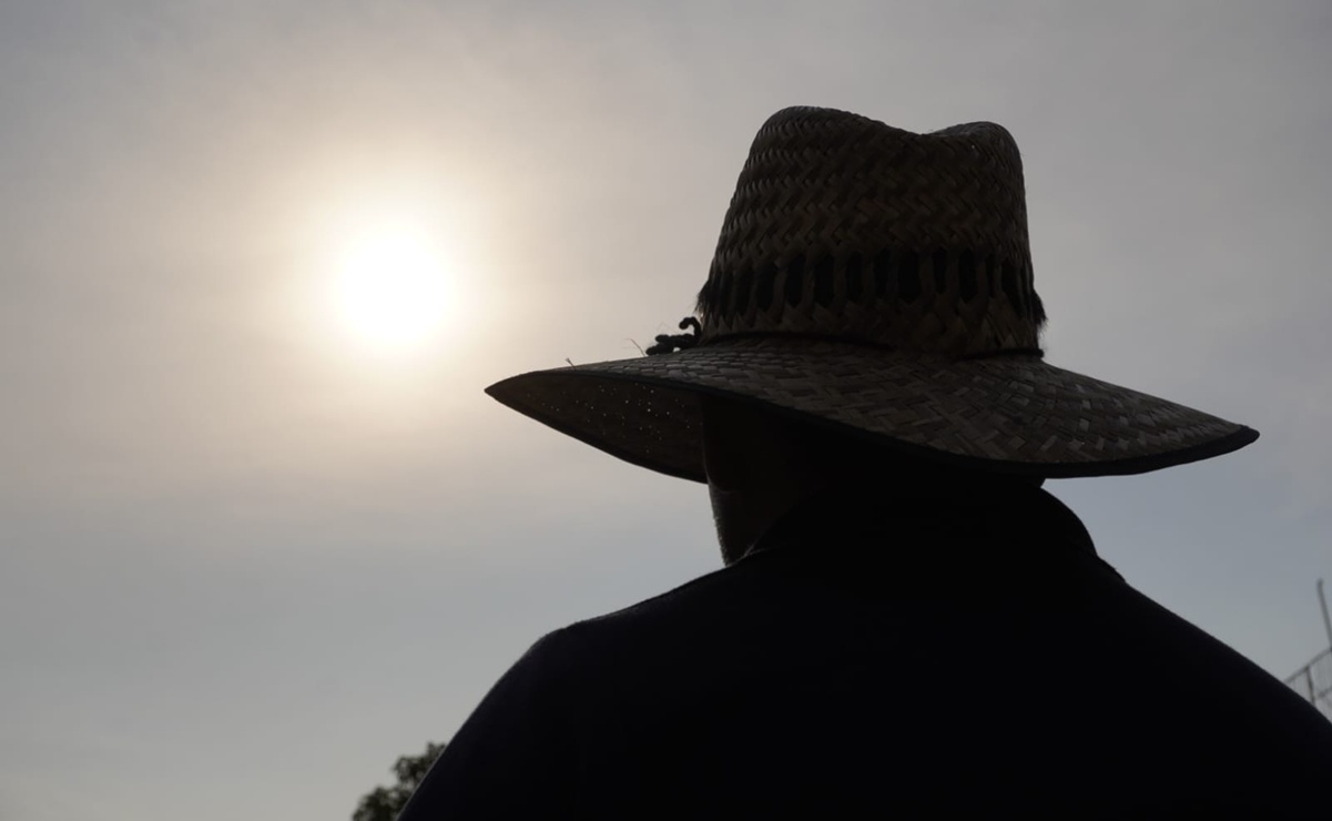 ¡Adiós al frío! Se esperan temperaturas de hasta 34 grados y alta radiación solar en Oaxaca. Foto: Mario Arturo Martínez