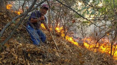 Arde Oaxaca: incendios forestales dejan 6 muertos y 7 desaparecidos