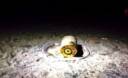 Ambientalistas, 70% de los activistas asesinados en 2019: ONG