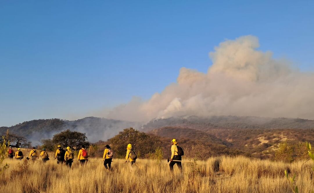 Controlan incendio forestal en la Mixteca de Oaxaca que amenazaba dos agencias. Foto: Especial