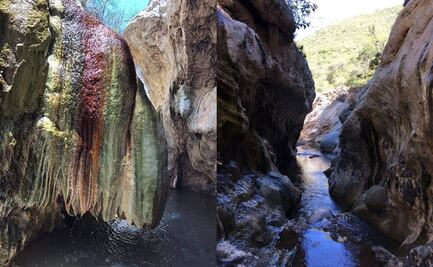 Las Salinas: El paraje donde el azufre y el agua dulce crean un oasis oaxaqueño