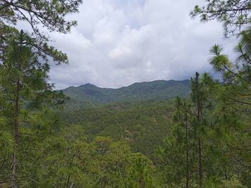 Acuerdan impedir instalación de casillas en Oaxaca para exigir solución a conflicto agrario en Los Chimalapas