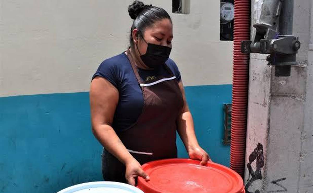 Hallan larvas del mosquito transmisor del dengue en viviendas de 74 comunidades de Oaxaca