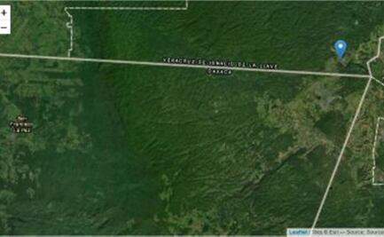 Anuncia gobierno de Oaxaca inicio de brecheo en Los Chimalapas el 24 de mayo